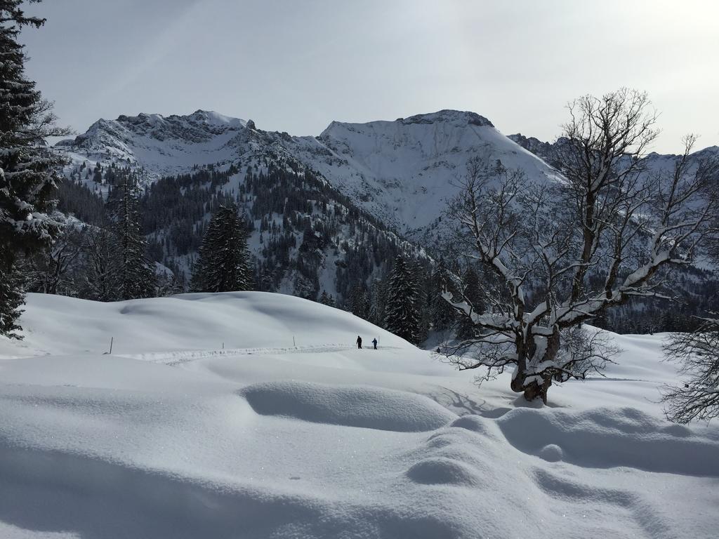 Hotel-Gasthof Der Wiesengrund Bad Hindelang Esterno foto